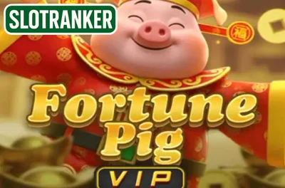 Fortune Pig VIP