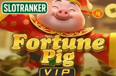 Fortune Pig VIP