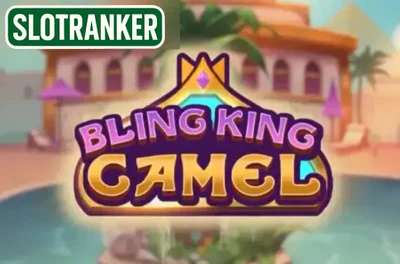Bling King Camel