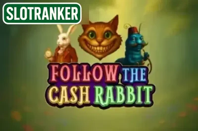 Follow the Cash Rabbit