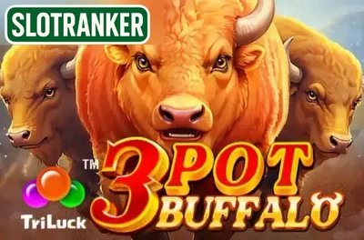 3 Pot Buffalo