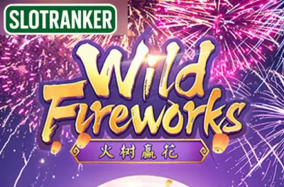 Wild Fireworks