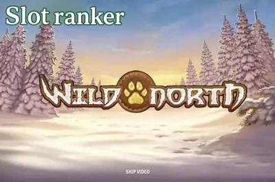 Wild North