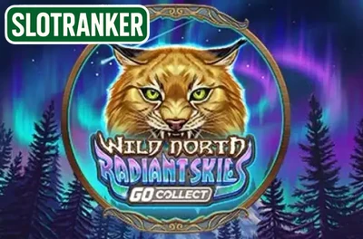 Wild North Radiant Skies