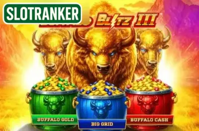 Buffalo Blitz 3