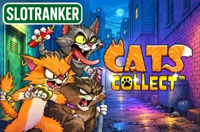 Cats Collect
