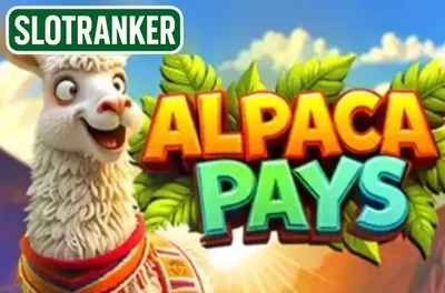 Alpaca Pays