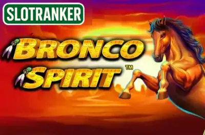 Bronco Spirit