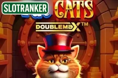 Fat Cats DoubleMax