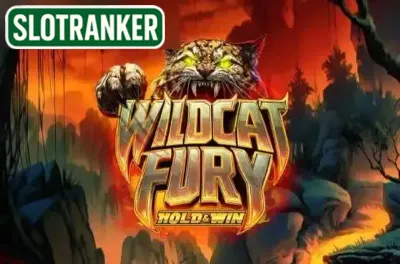 Wildcat Fury
