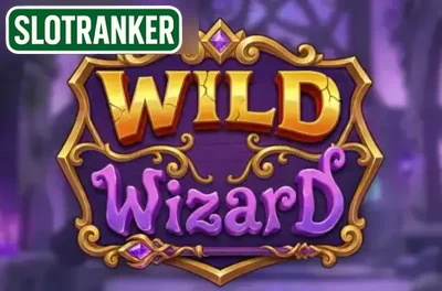 Wild Wizard