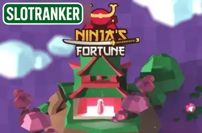 Ninja's Fortune