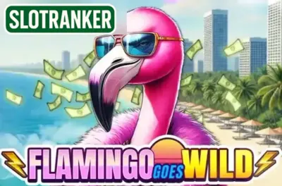 Flamingo Goes Wild