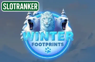 Winter Footprints