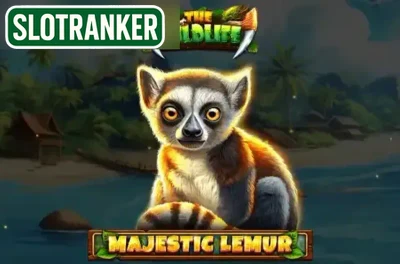 Majestic Lemur