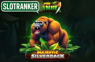 Majestic Silverback