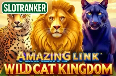Amazing Link WildCat Kingdom
