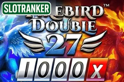 Firebird Double 27 1000