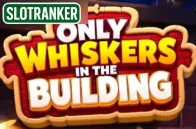 Only Whiskers in the Building