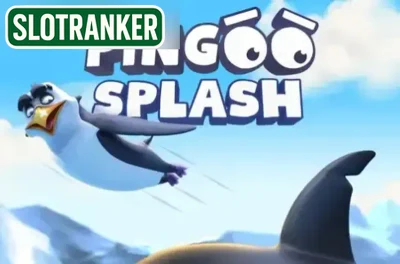 Pingoo Splash