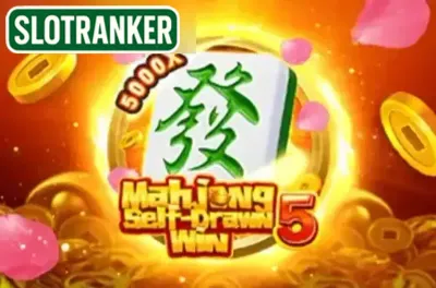 Mahjong Self-Drawn Win 5