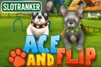 Ace and Flip