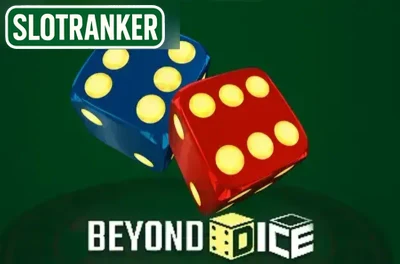 Beyond Dice