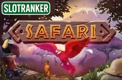 Safari (X Play)