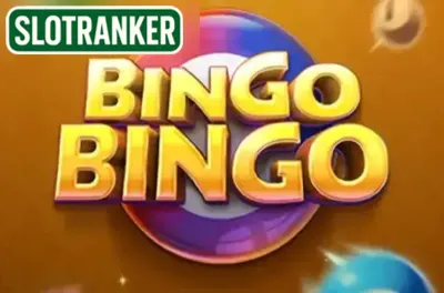Bingo Bingo