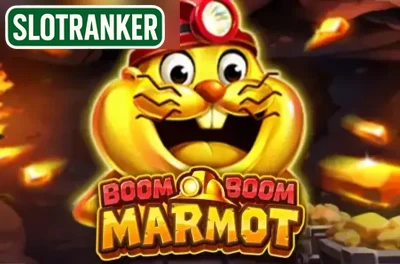 Boom Boom Marmot